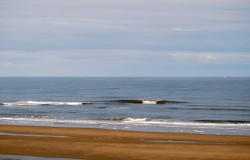 Parnassia surf 8 april