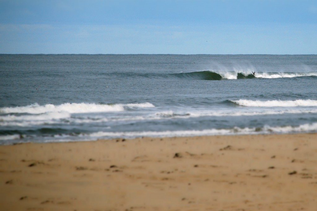 Surf texel 004