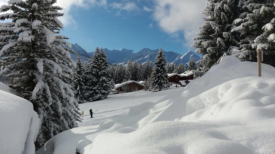 Skiles voor kinderen En wat voor de skiles voor kinderen super relaxed is, is het feit dat er volop Nederlandse leraren/ leraressen zijn. Ook de kinderpistes zijn precies goed.