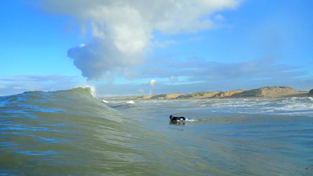 Parnassia shorebreak