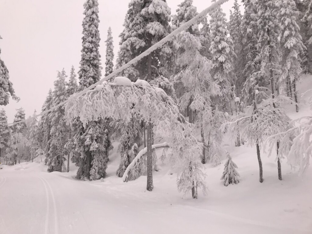 winter lapland