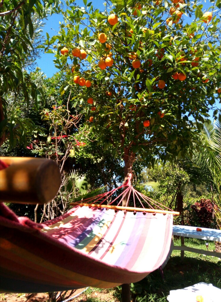 garden Surf Paradise Morocco