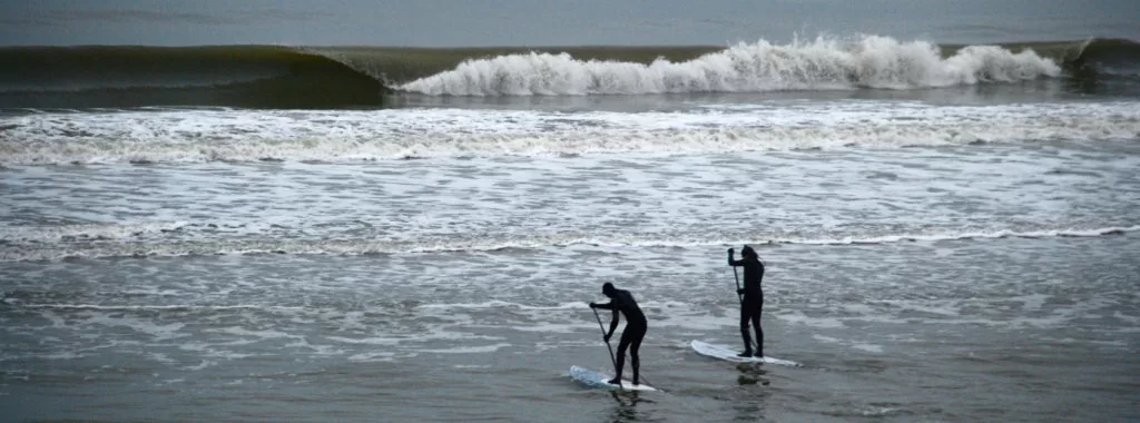 Surfen Parnassia