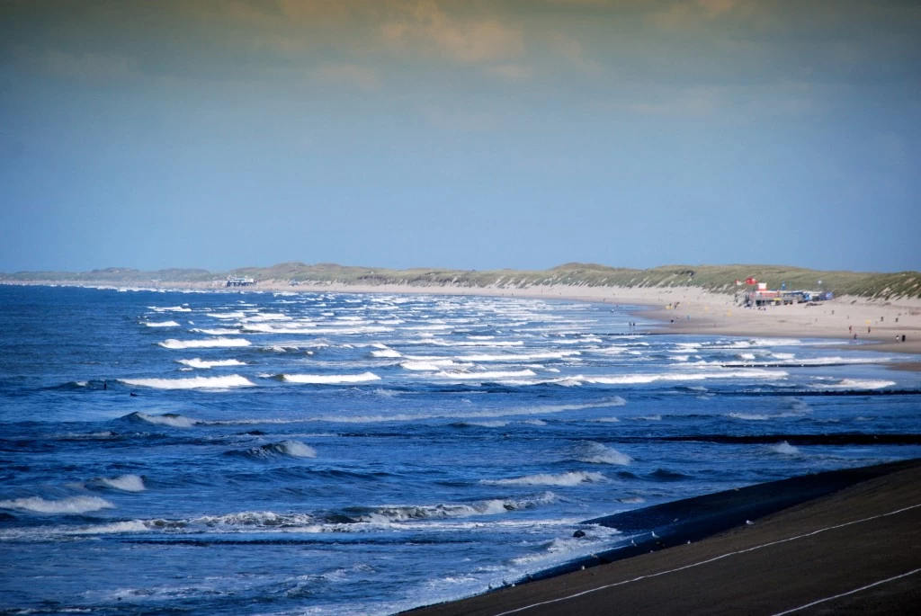 Overzicht van Petten