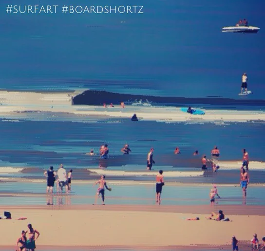 Surfart 02 boardshortz.nl