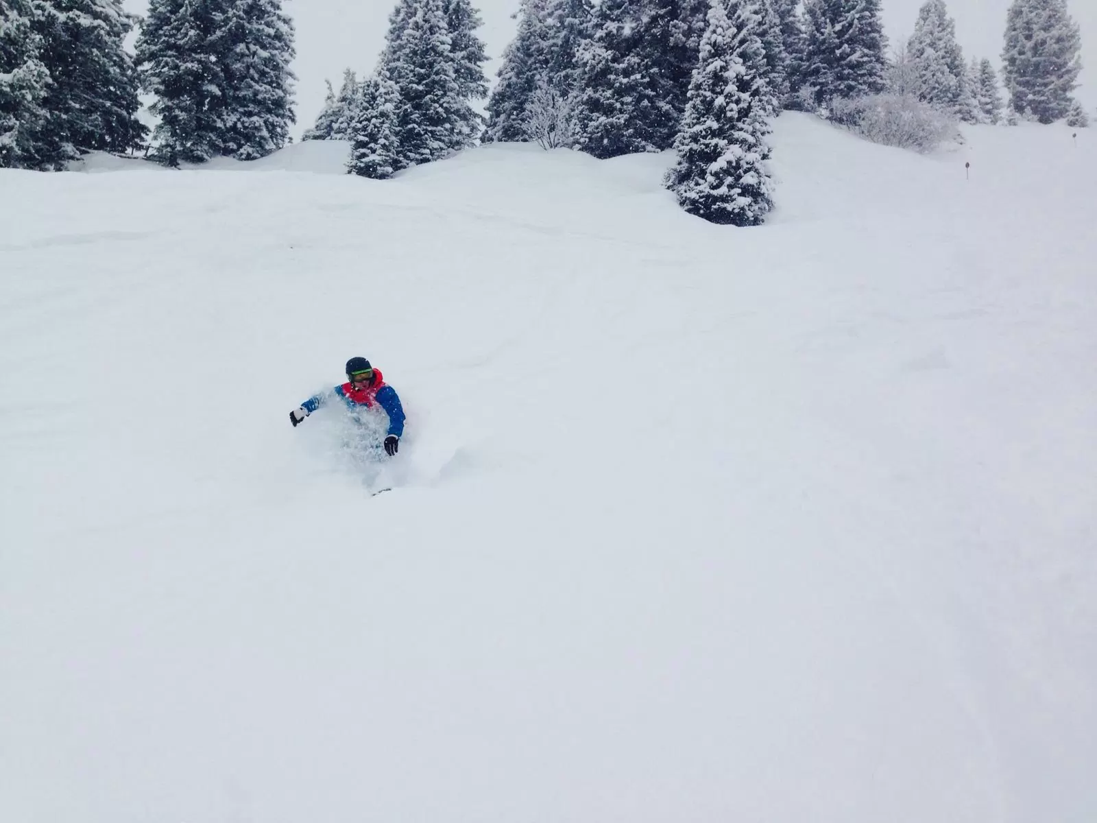 offpiste koningsleiten