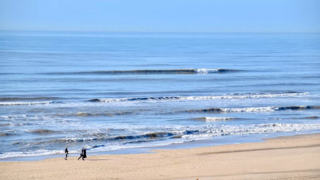 Surfen bij Rapa Nui Bloemendaal