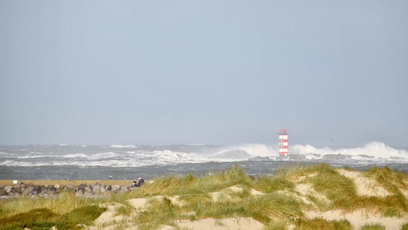 surfen ijmuiden