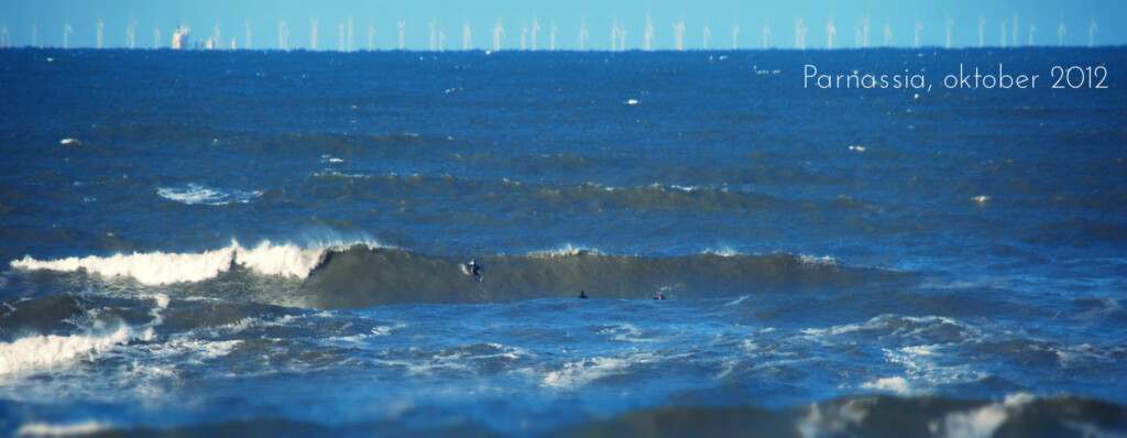 Surfen in de winter