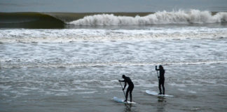 Surfen Parnassia
