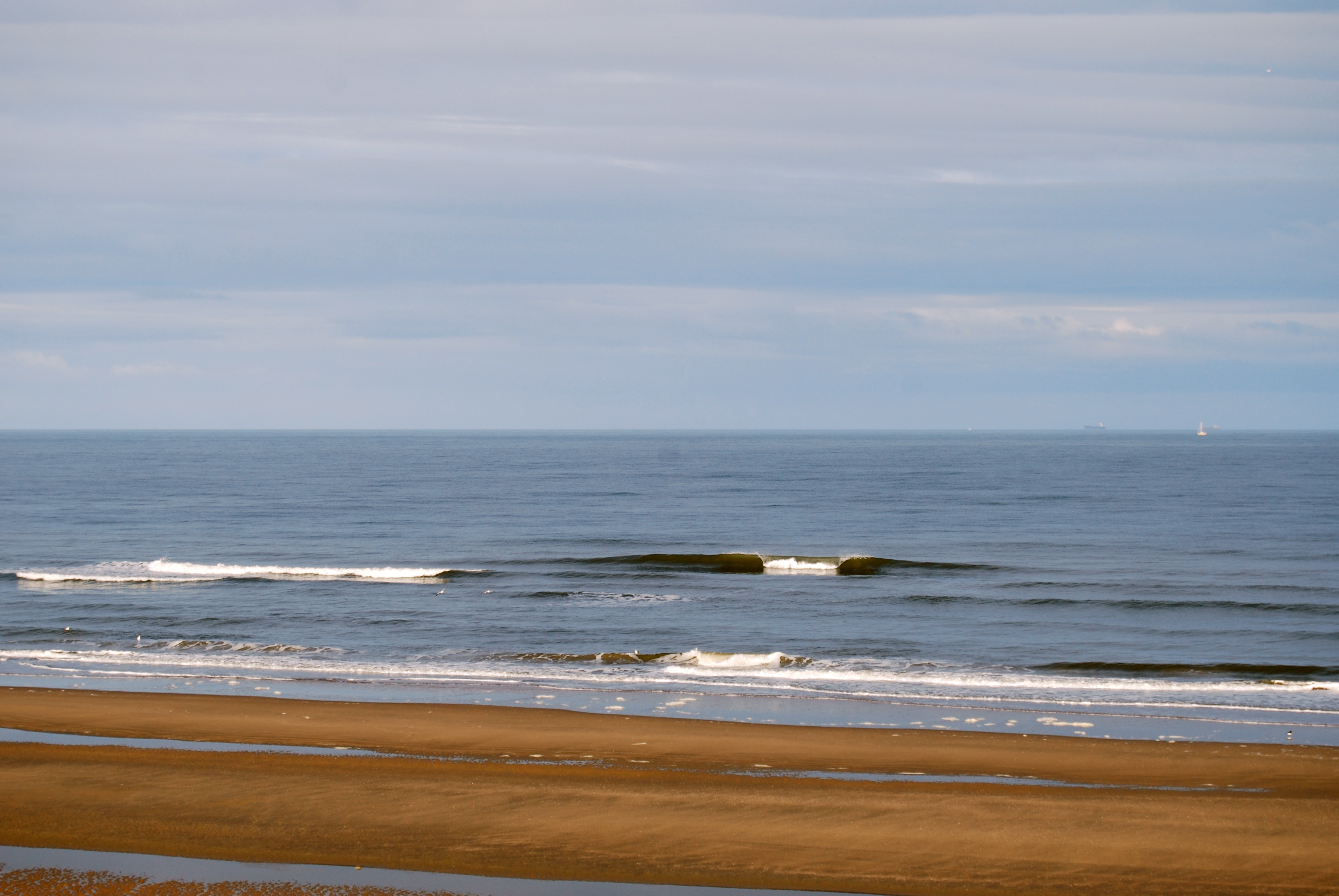 Parnassia surf 8 april