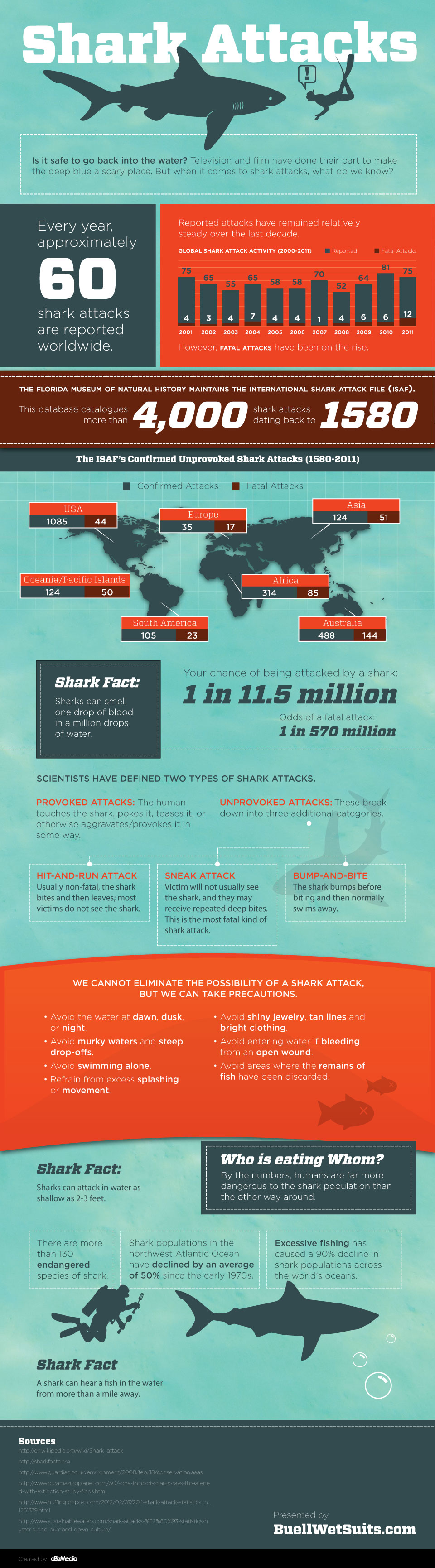 Haaiaanval InfoGraphic