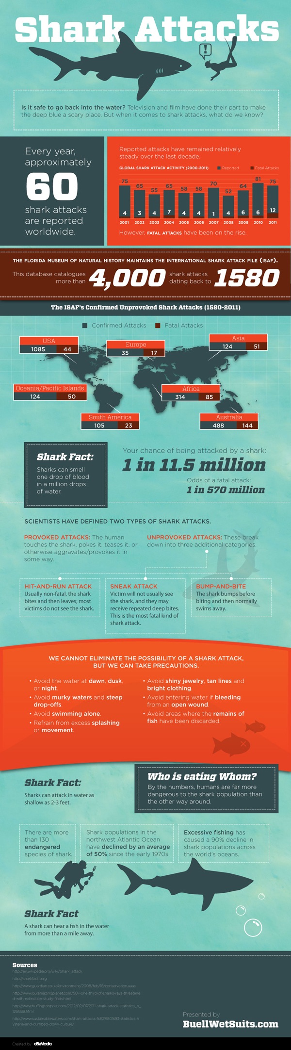 Aanval van haai infographic