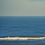 Parnassia surf 13