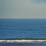 Parnassia surf 14