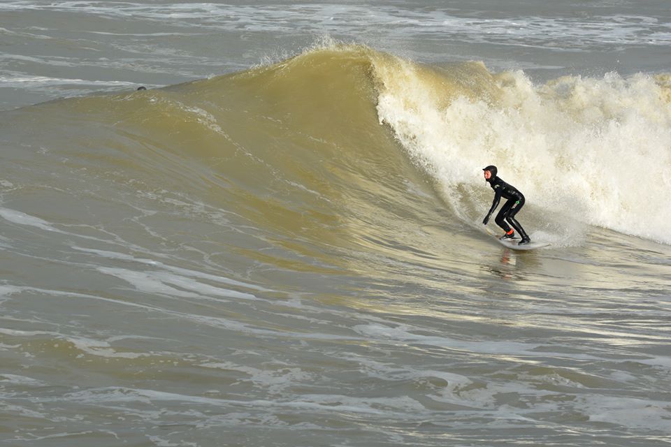 surf 1 februari 2015 parnassia
