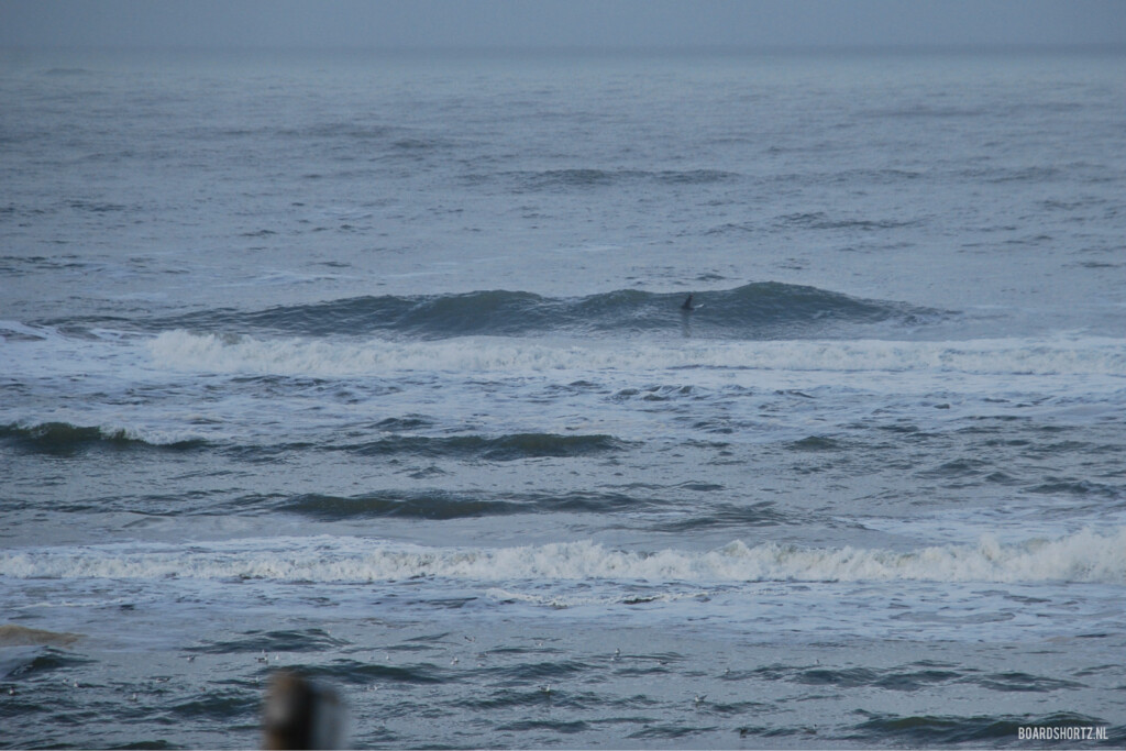 surf 1 februari 2015 parnassia