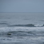 surf 2 februari 2015 parnassia
