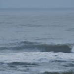 surf 3 februari 2015 parnassia