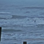 surf 5 februari 2015 parnassia