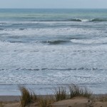 surf 8 – 1 februari 2015 parnassia