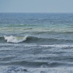 surf 9 – 1 februari 2015 parnassia