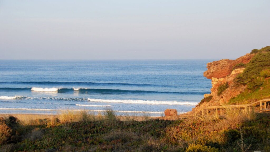 amado algarve