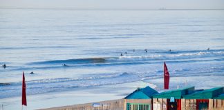 surfen in nederland