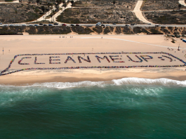 beach clean up