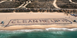 beach clean up