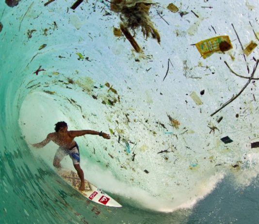 eco friendly surfer