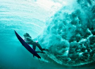 surfing and freediving