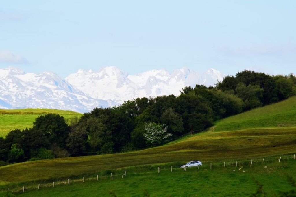 Picos de europa 