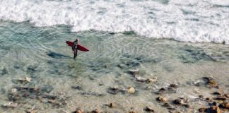 surfen te groot voor empathie