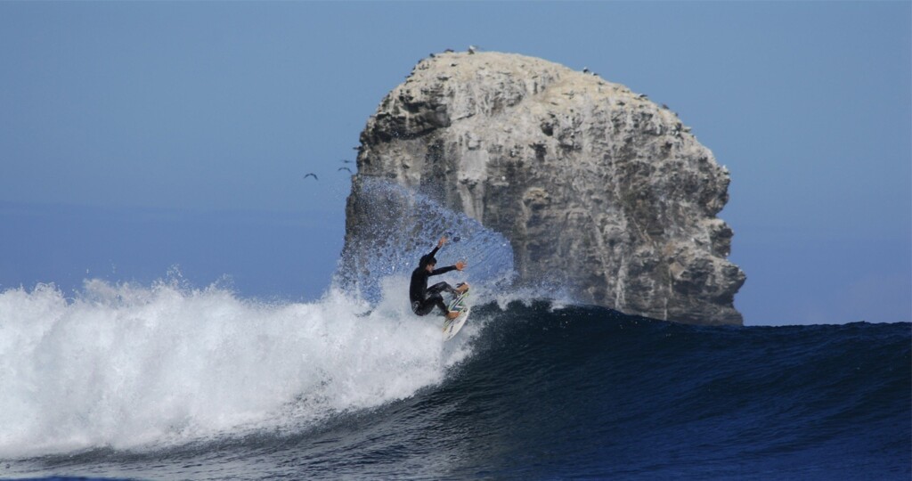 Punta de lobos