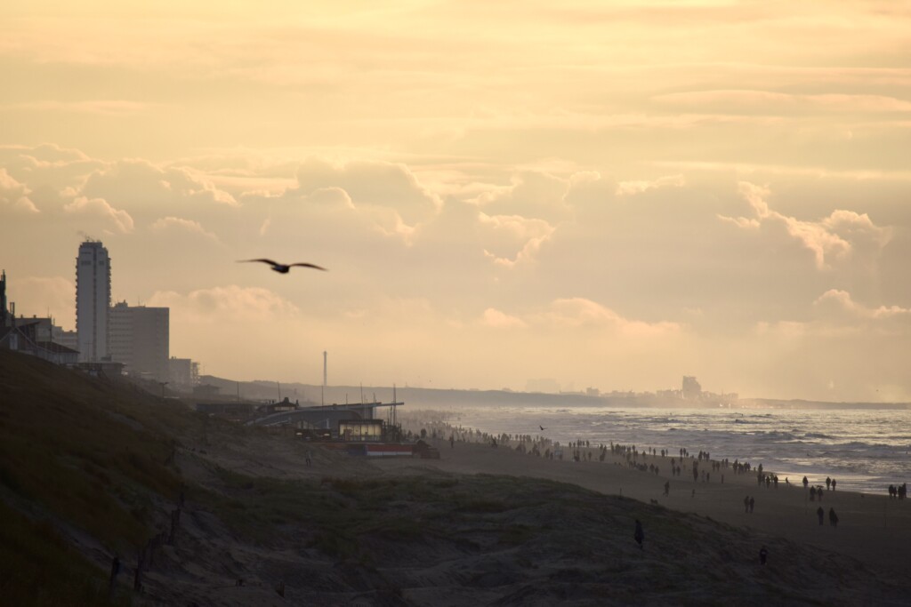 Zandvoort surfen