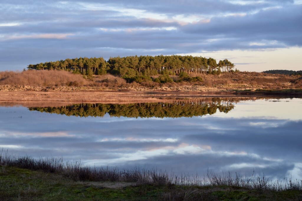 Nationaalpark Zuid Kennemerland