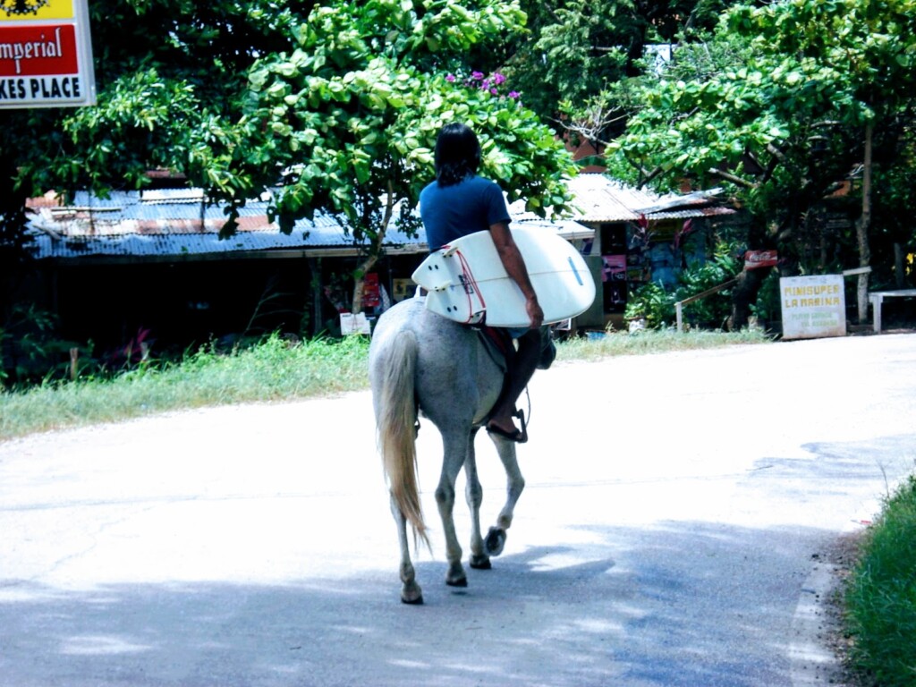 op het paard met surfboard