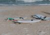 surfboard gestolen