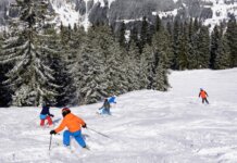 familie skigebieden