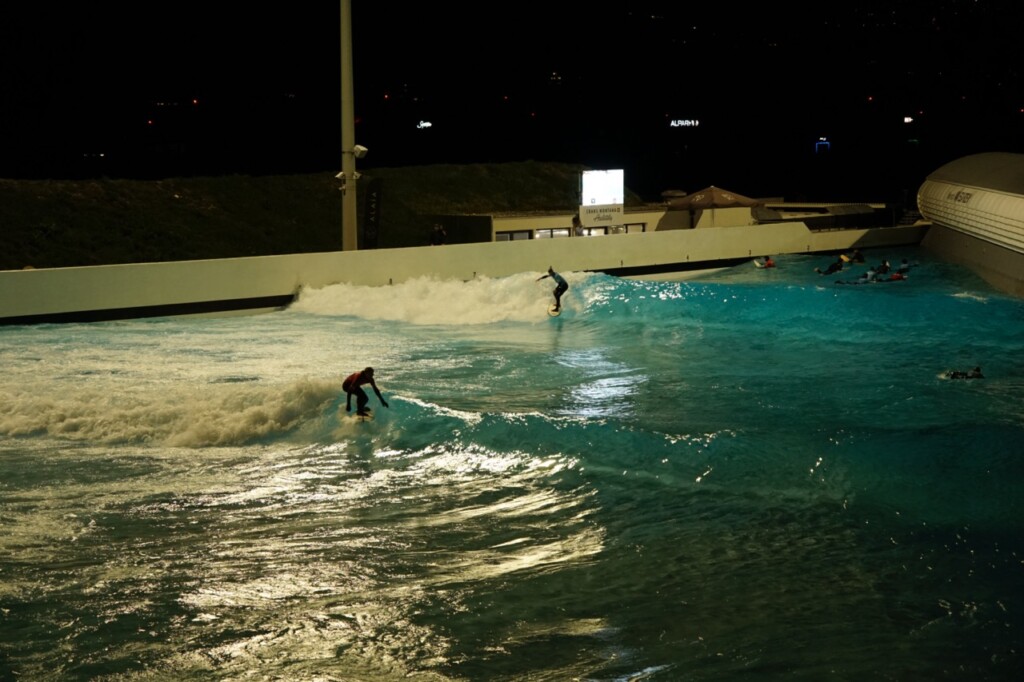 surfers cup alaia 2