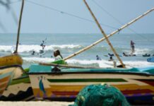arugam bay surfing