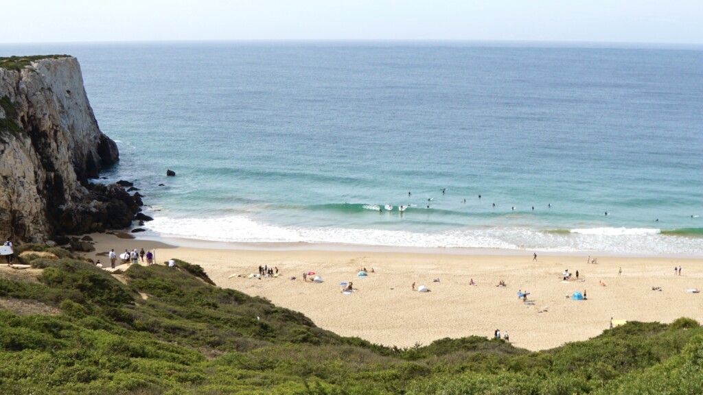 beliche surf