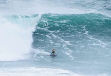 surf nazare