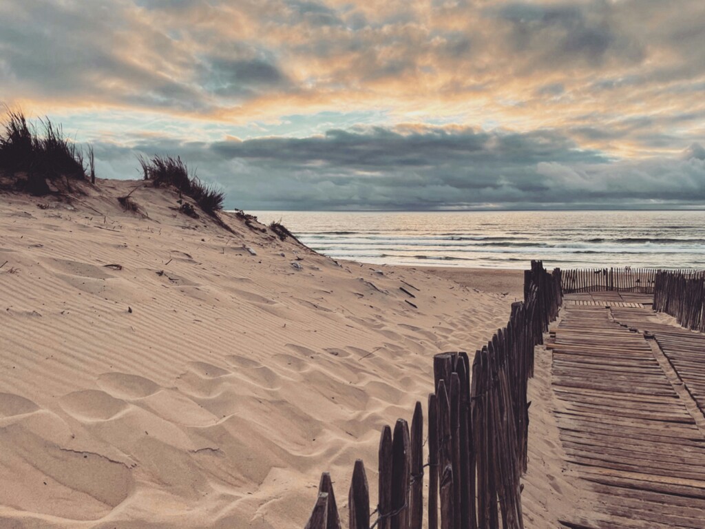 wild_er-cpugY2Dr3dY-unsplash carcans surf
