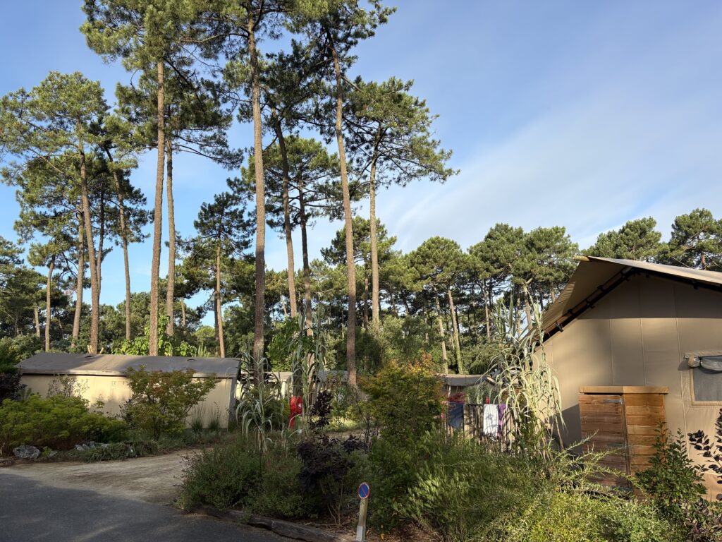 Lodge Naturéo - Seignosse