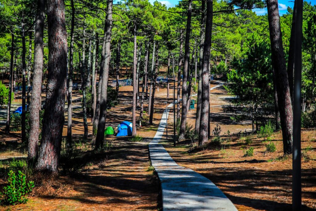 Camping La Grigne - Le Porge Océan