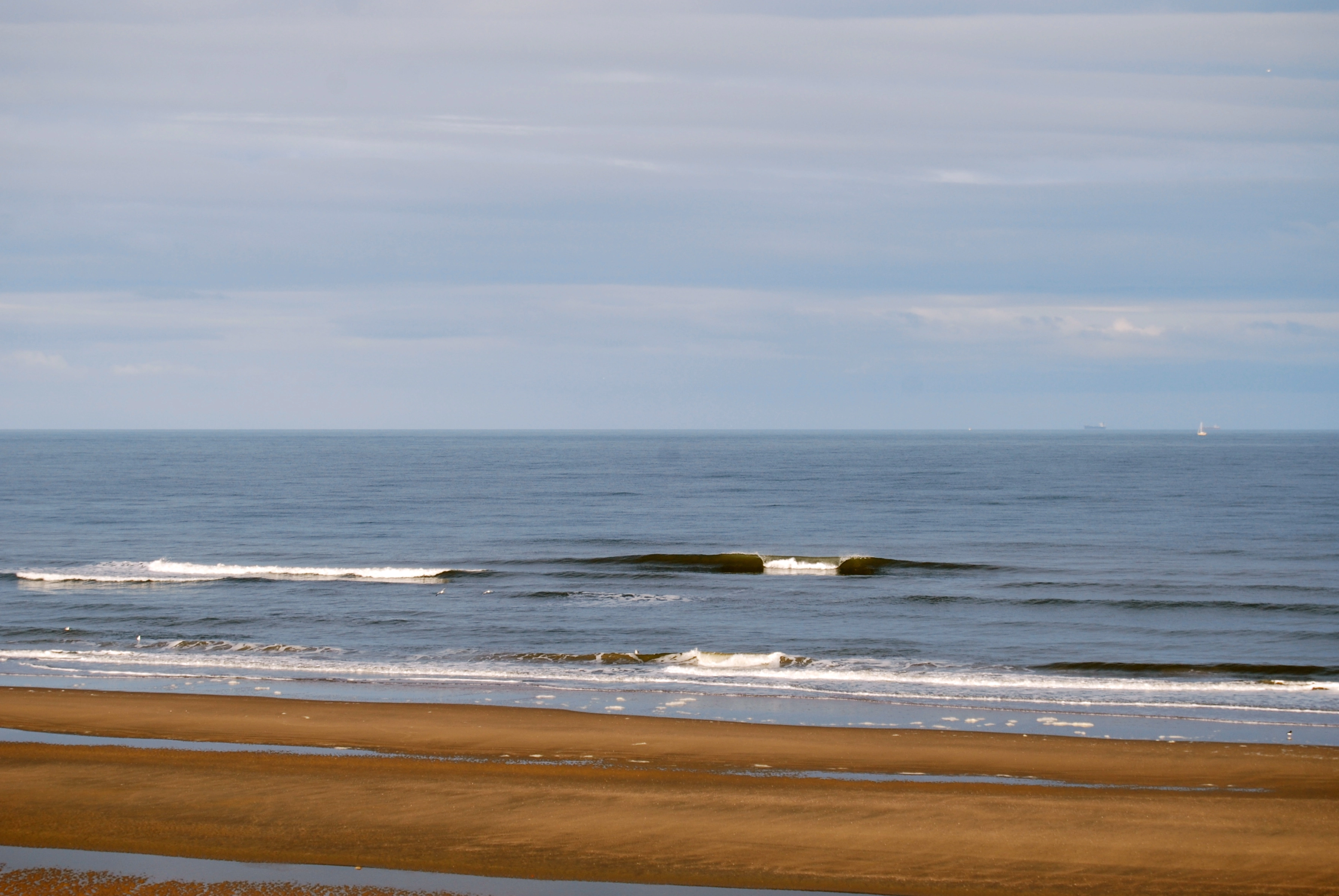 Parnassia surf 8 april