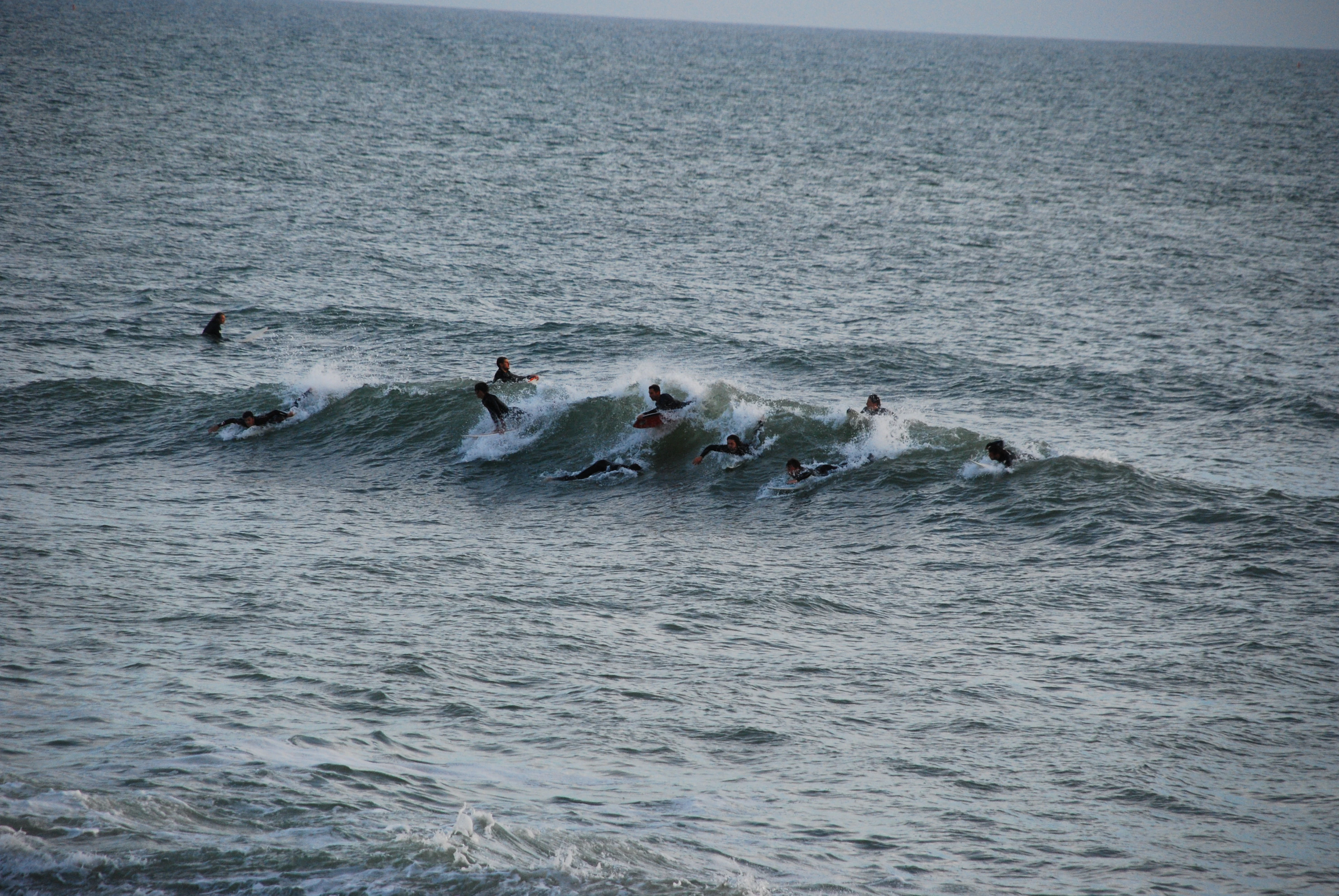 Veel surfers op golf