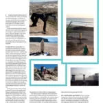 pagina 3 Volkskrant Surfen in Portugal.jpg